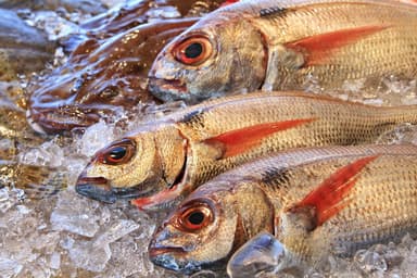 The Health Benefits of Omega-3 Fatty Acids from Fish